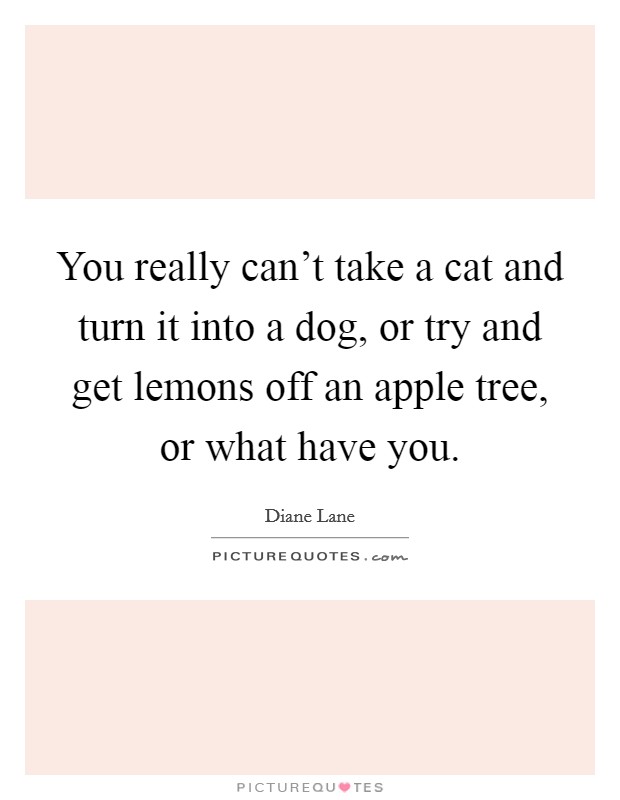 You really can't take a cat and turn it into a dog, or try and get lemons off an apple tree, or what have you. Picture Quote #1