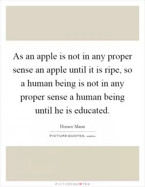 As an apple is not in any proper sense an apple until it is ripe, so a human being is not in any proper sense a human being until he is educated Picture Quote #1