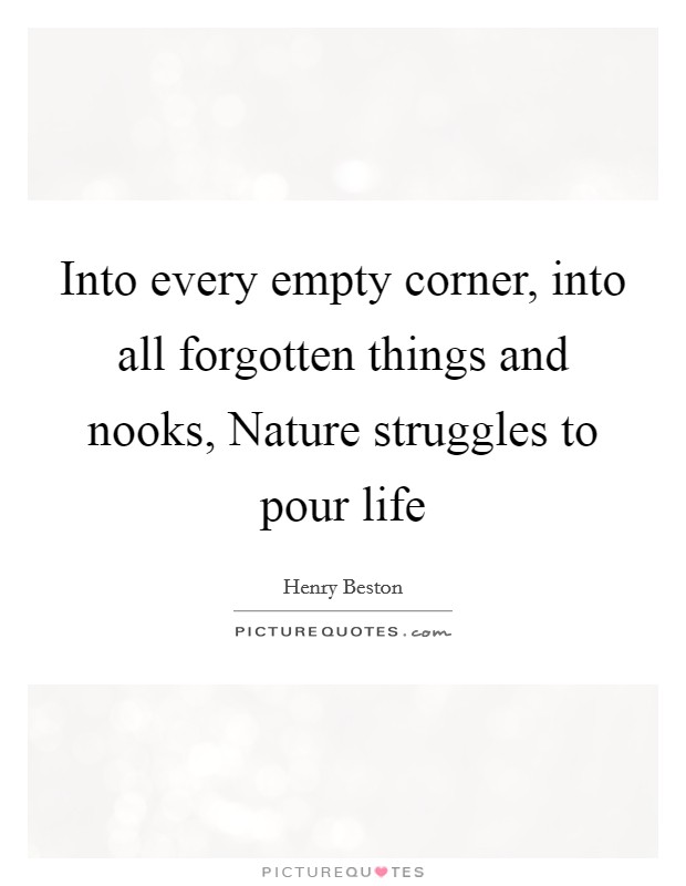 Into every empty corner, into all forgotten things and nooks, Nature struggles to pour life Picture Quote #1