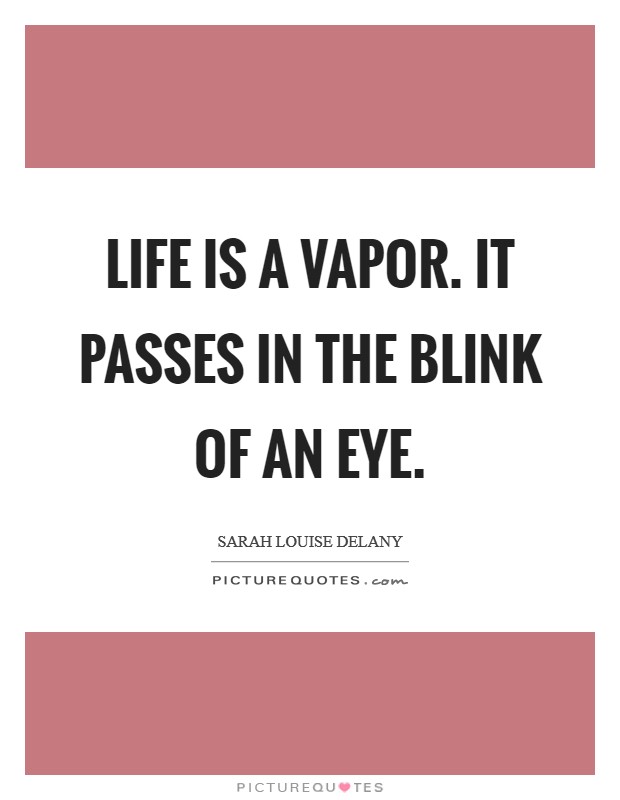 Life is a vapor. It passes in the blink of an eye. Picture Quote #1