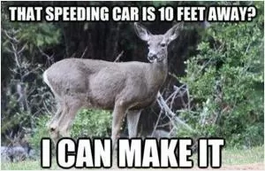 That speeding car is 10 feet away. I can make it Picture Quote #1