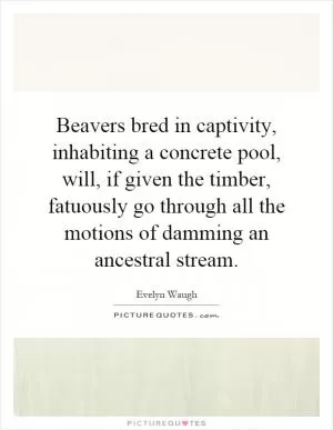 Beavers bred in captivity, inhabiting a concrete pool, will, if given the timber, fatuously go through all the motions of damming an ancestral stream Picture Quote #1