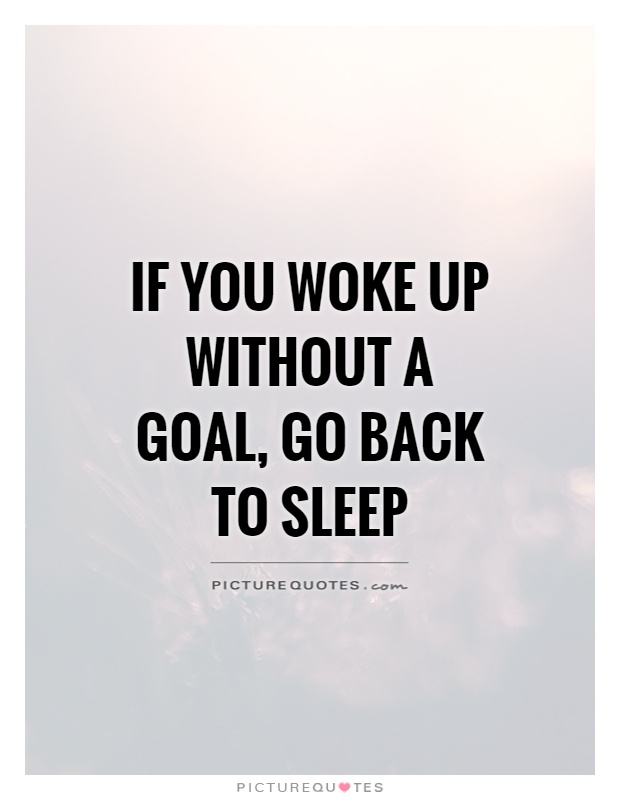 If you woke up without a goal, go back to sleep Picture Quote #1