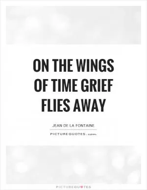 On the wings of Time grief flies away Picture Quote #1