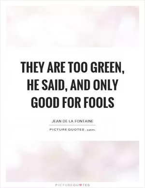 They are too green, he said, and only good for fools Picture Quote #1