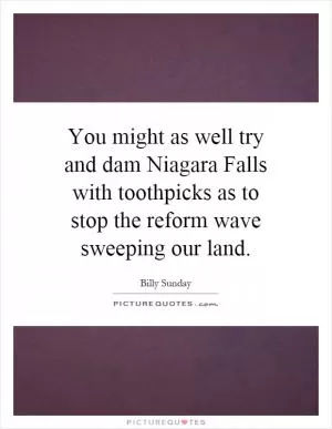 You might as well try and dam Niagara Falls with toothpicks as to stop the reform wave sweeping our land Picture Quote #1