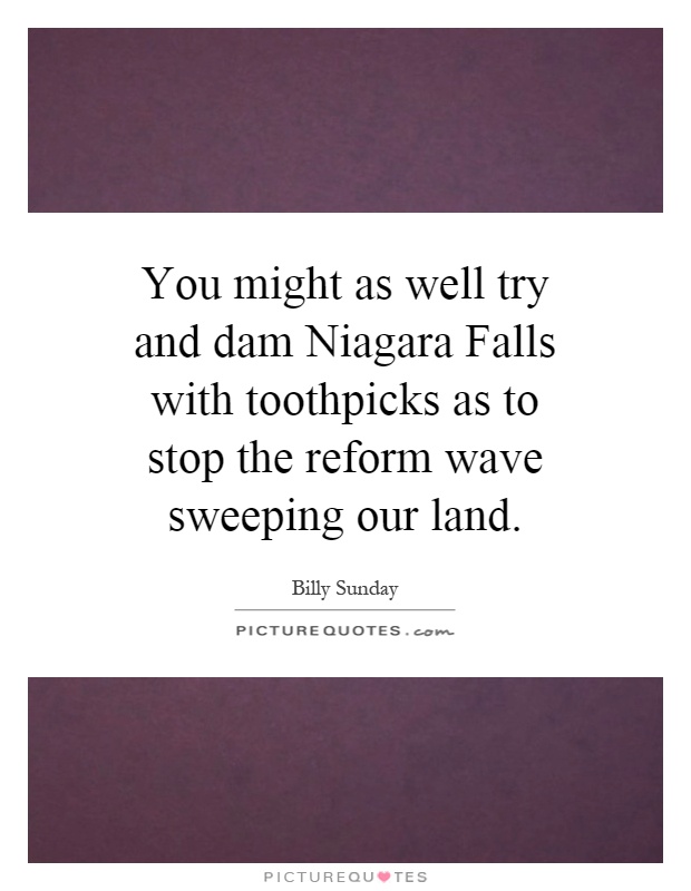 You might as well try and dam Niagara Falls with toothpicks as to stop the reform wave sweeping our land Picture Quote #1