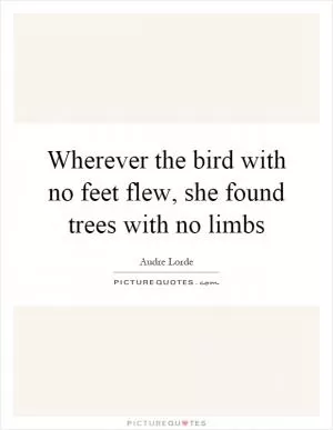 Wherever the bird with no feet flew, she found trees with no limbs Picture Quote #1