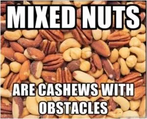Mixed nuts are cashews with obstacles Picture Quote #1