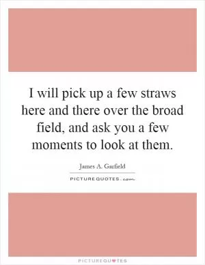 I will pick up a few straws here and there over the broad field, and ask you a few moments to look at them Picture Quote #1
