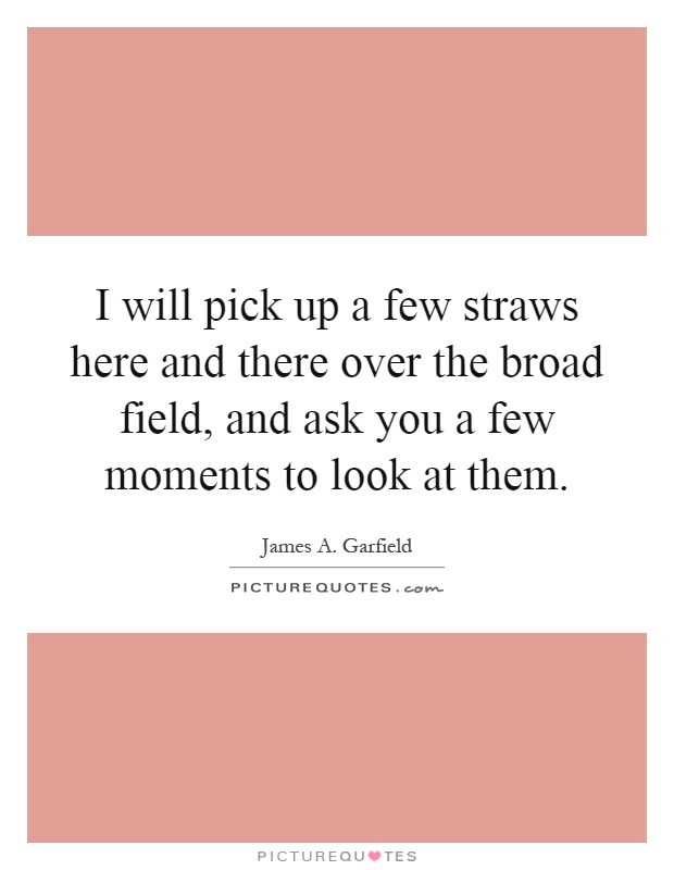 I will pick up a few straws here and there over the broad field, and ask you a few moments to look at them Picture Quote #1