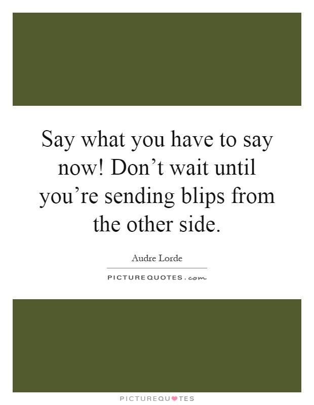 Say what you have to say now! Don't wait until you're sending blips from the other side Picture Quote #1
