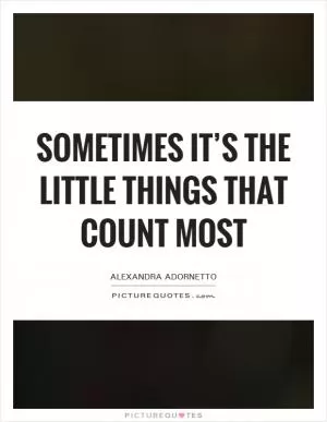 Sometimes it’s the little things that count most Picture Quote #1