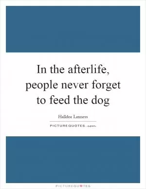In the afterlife, people never forget to feed the dog Picture Quote #1