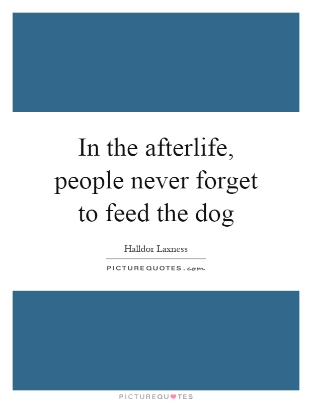 In the afterlife, people never forget to feed the dog Picture Quote #1