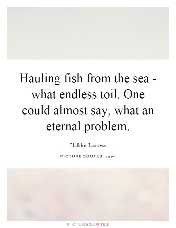 Hauling fish from the sea - what endless toil. One could almost say, what an eternal problem Picture Quote #1