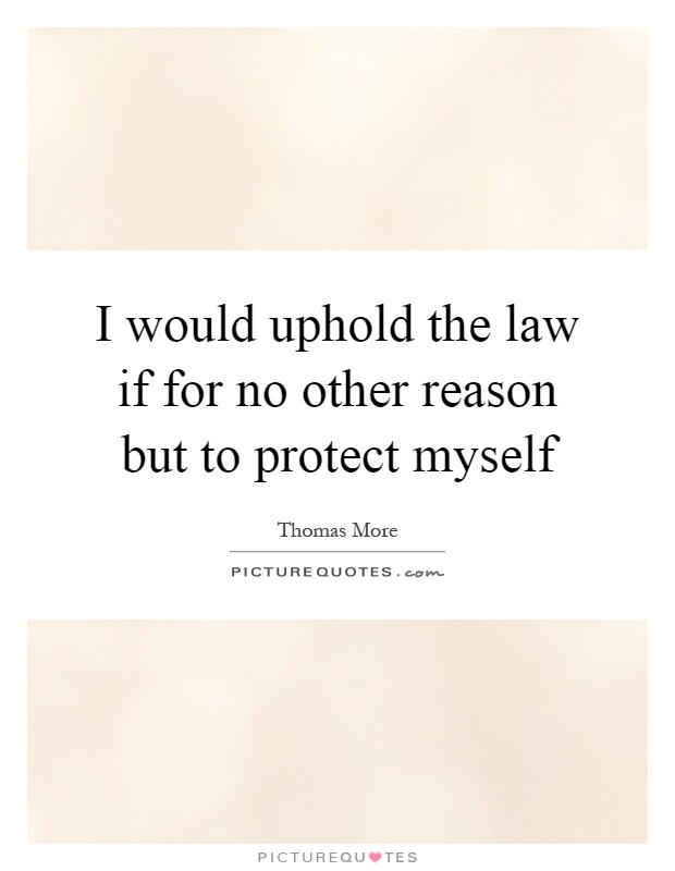 I would uphold the law if for no other reason but to protect myself Picture Quote #1