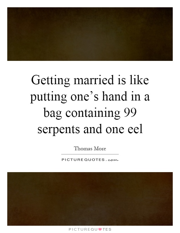 Getting married is like putting one's hand in a bag containing 99 serpents and one eel Picture Quote #1
