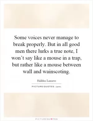 Some voices never manage to break properly. But in all good men there lurks a true note, I won’t say like a mouse in a trap, but rather like a mouse between wall and wainscoting Picture Quote #1