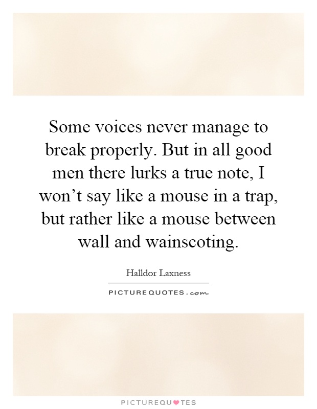 Some voices never manage to break properly. But in all good men there lurks a true note, I won't say like a mouse in a trap, but rather like a mouse between wall and wainscoting Picture Quote #1