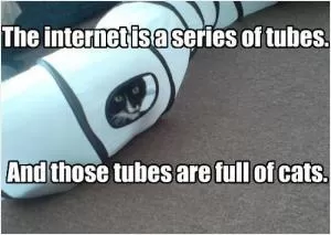 The internet is a series of tubes. And those tubes are full of cats Picture Quote #1