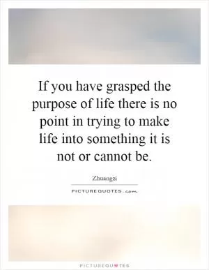 If you have grasped the purpose of life there is no point in trying to make life into something it is not or cannot be Picture Quote #1