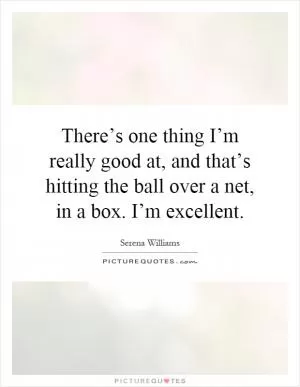 There’s one thing I’m really good at, and that’s hitting the ball over a net, in a box. I’m excellent Picture Quote #1