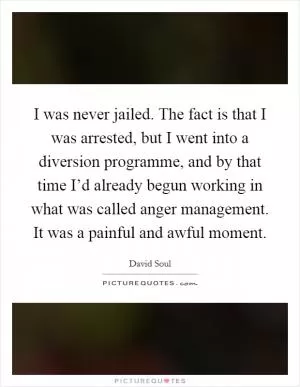 I was never jailed. The fact is that I was arrested, but I went into a diversion programme, and by that time I’d already begun working in what was called anger management. It was a painful and awful moment Picture Quote #1