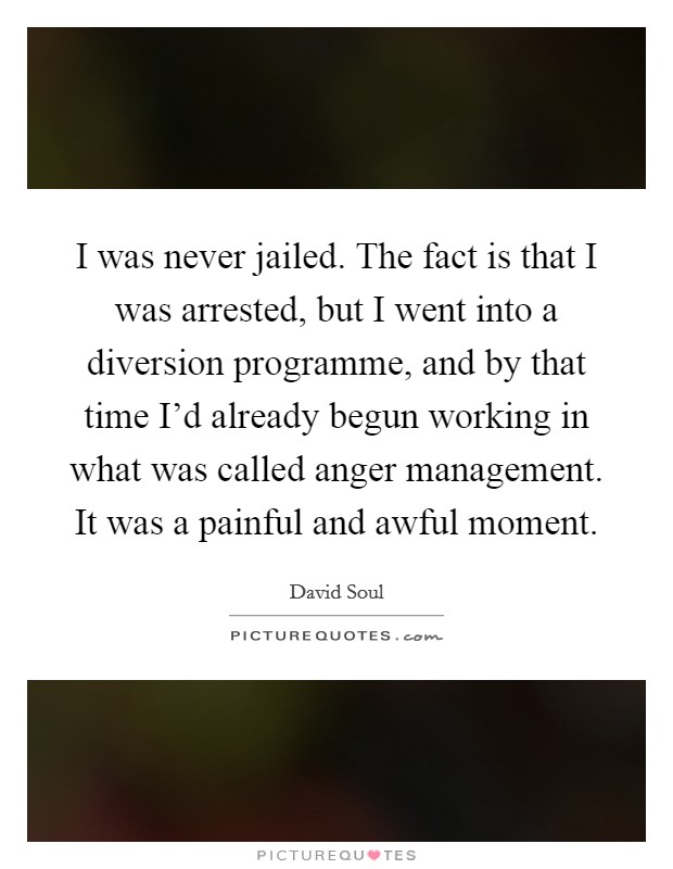 I was never jailed. The fact is that I was arrested, but I went into a diversion programme, and by that time I'd already begun working in what was called anger management. It was a painful and awful moment. Picture Quote #1
