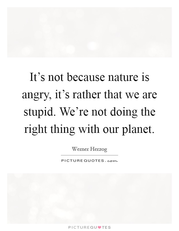 It's not because nature is angry, it's rather that we are stupid. We're not doing the right thing with our planet. Picture Quote #1