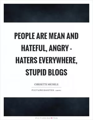 People are mean and hateful, angry - haters everywhere, stupid blogs Picture Quote #1
