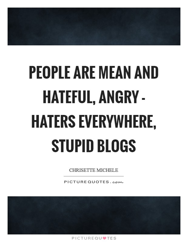 People are mean and hateful, angry - haters everywhere, stupid blogs Picture Quote #1