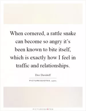 When cornered, a rattle snake can become so angry it’s been known to bite itself, which is exactly how I feel in traffic and relationships Picture Quote #1