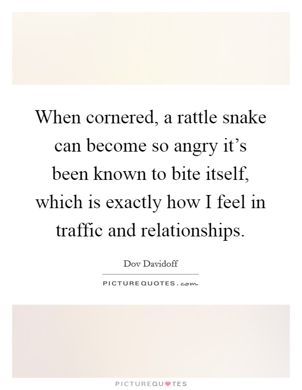 When cornered, a rattle snake can become so angry it's been known to bite itself, which is exactly how I feel in traffic and relationships. Picture Quote #1