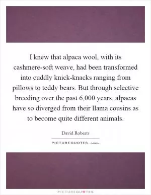 I knew that alpaca wool, with its cashmere-soft weave, had been transformed into cuddly knick-knacks ranging from pillows to teddy bears. But through selective breeding over the past 6,000 years, alpacas have so diverged from their llama cousins as to become quite different animals Picture Quote #1