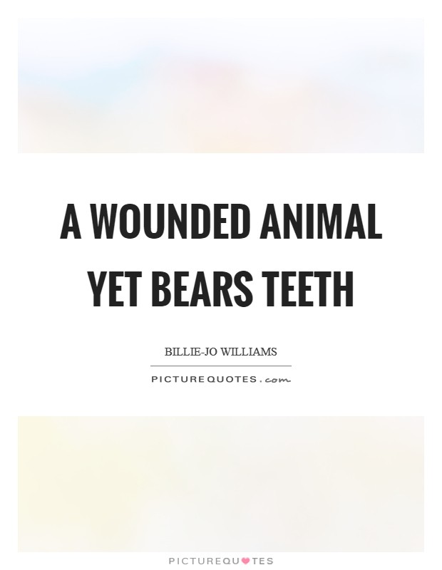 A wounded animal yet bears teeth Picture Quote #1