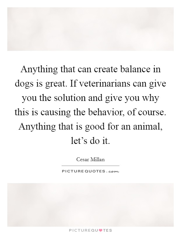 Anything that can create balance in dogs is great. If veterinarians can give you the solution and give you why this is causing the behavior, of course. Anything that is good for an animal, let's do it. Picture Quote #1