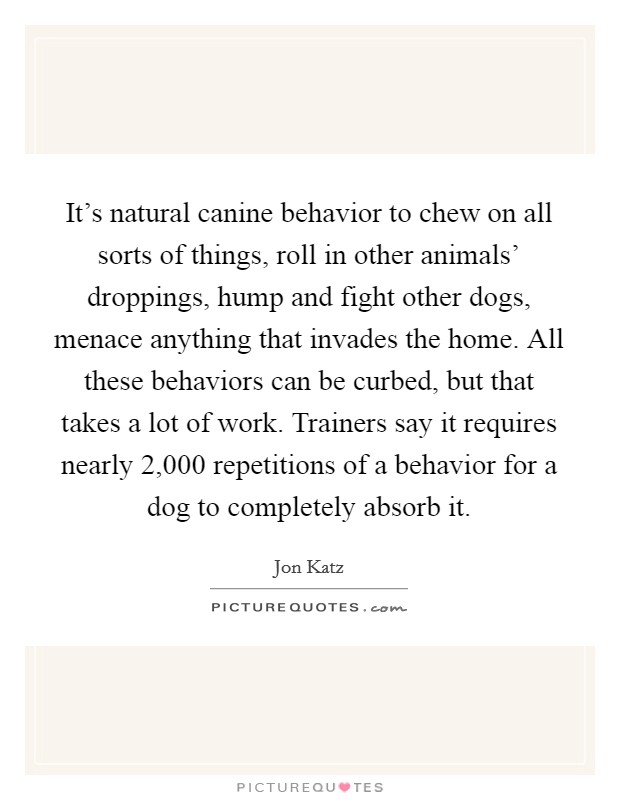 It's natural canine behavior to chew on all sorts of things, roll in other animals' droppings, hump and fight other dogs, menace anything that invades the home. All these behaviors can be curbed, but that takes a lot of work. Trainers say it requires nearly 2,000 repetitions of a behavior for a dog to completely absorb it. Picture Quote #1