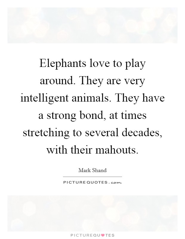 Elephants love to play around. They are very intelligent animals. They have a strong bond, at times stretching to several decades, with their mahouts. Picture Quote #1