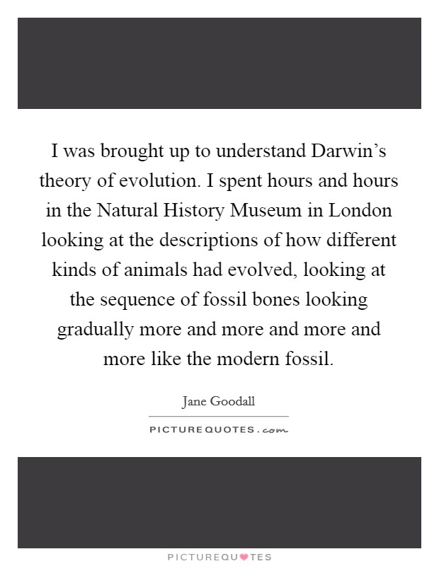 I was brought up to understand Darwin's theory of evolution. I spent hours and hours in the Natural History Museum in London looking at the descriptions of how different kinds of animals had evolved, looking at the sequence of fossil bones looking gradually more and more and more and more like the modern fossil. Picture Quote #1
