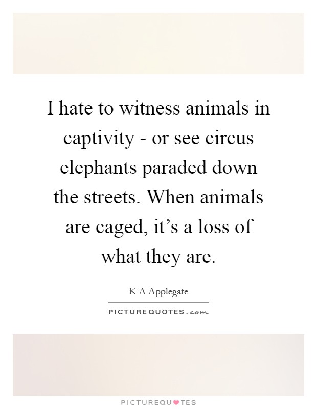 I hate to witness animals in captivity - or see circus elephants paraded down the streets. When animals are caged, it's a loss of what they are. Picture Quote #1
