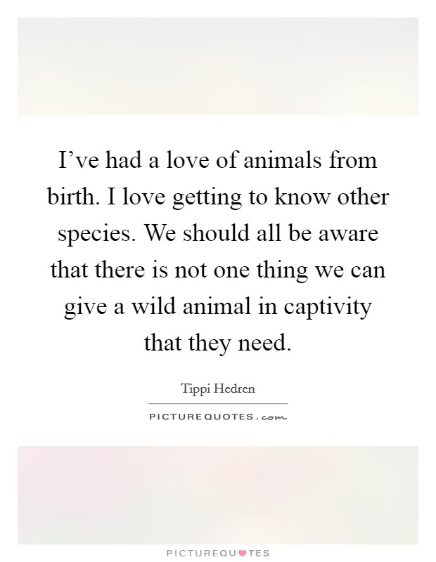 I've had a love of animals from birth. I love getting to know other species. We should all be aware that there is not one thing we can give a wild animal in captivity that they need. Picture Quote #1