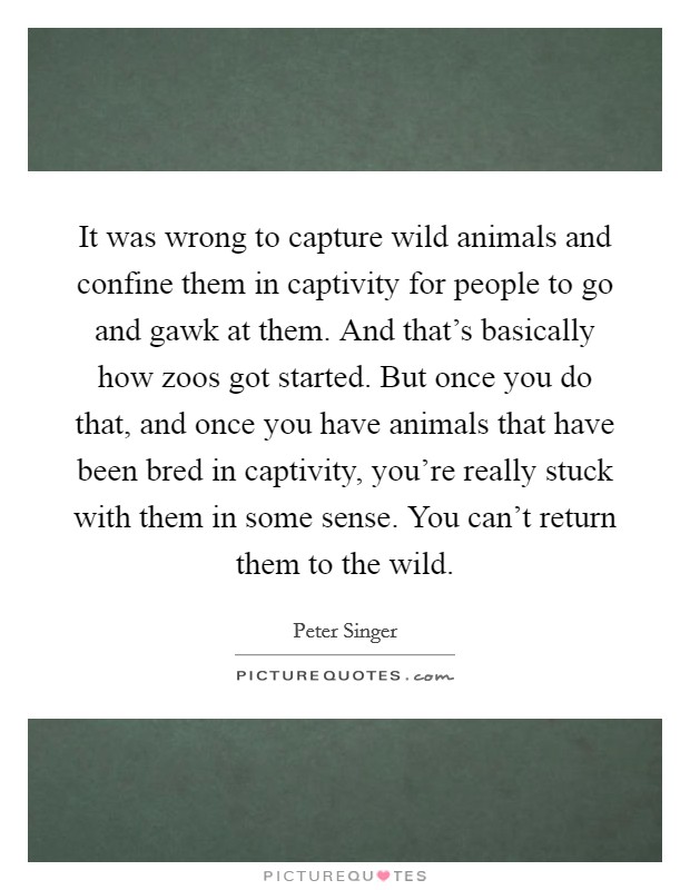 It was wrong to capture wild animals and confine them in captivity for people to go and gawk at them. And that's basically how zoos got started. But once you do that, and once you have animals that have been bred in captivity, you're really stuck with them in some sense. You can't return them to the wild. Picture Quote #1