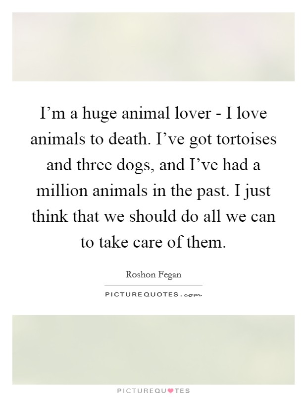 I'm a huge animal lover - I love animals to death. I've got tortoises and three dogs, and I've had a million animals in the past. I just think that we should do all we can to take care of them. Picture Quote #1
