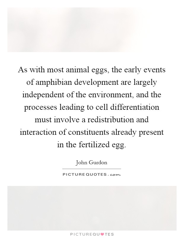 As with most animal eggs, the early events of amphibian development are largely independent of the environment, and the processes leading to cell differentiation must involve a redistribution and interaction of constituents already present in the fertilized egg. Picture Quote #1