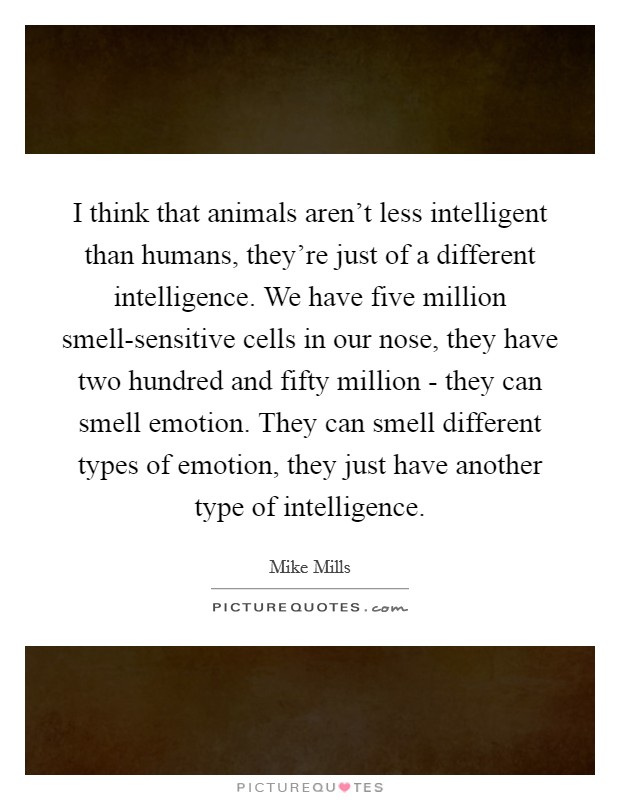I think that animals aren't less intelligent than humans, they're just of a different intelligence. We have five million smell-sensitive cells in our nose, they have two hundred and fifty million - they can smell emotion. They can smell different types of emotion, they just have another type of intelligence. Picture Quote #1