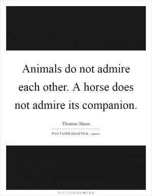 Animals do not admire each other. A horse does not admire its companion Picture Quote #1