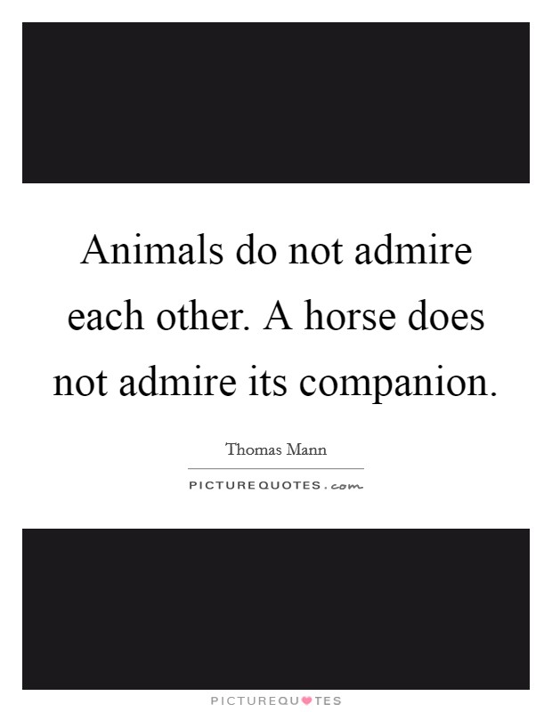 Animals do not admire each other. A horse does not admire its companion. Picture Quote #1