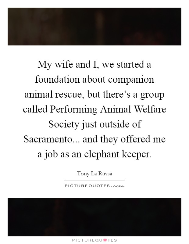 My wife and I, we started a foundation about companion animal rescue, but there's a group called Performing Animal Welfare Society just outside of Sacramento... and they offered me a job as an elephant keeper. Picture Quote #1