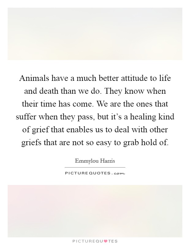 Animals have a much better attitude to life and death than we do. They know when their time has come. We are the ones that suffer when they pass, but it's a healing kind of grief that enables us to deal with other griefs that are not so easy to grab hold of. Picture Quote #1
